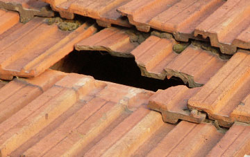 roof repair Lower New Inn, Torfaen